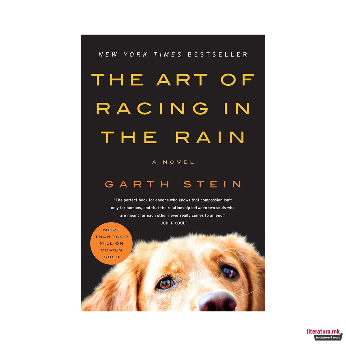 The Art of Racing in the Rain
