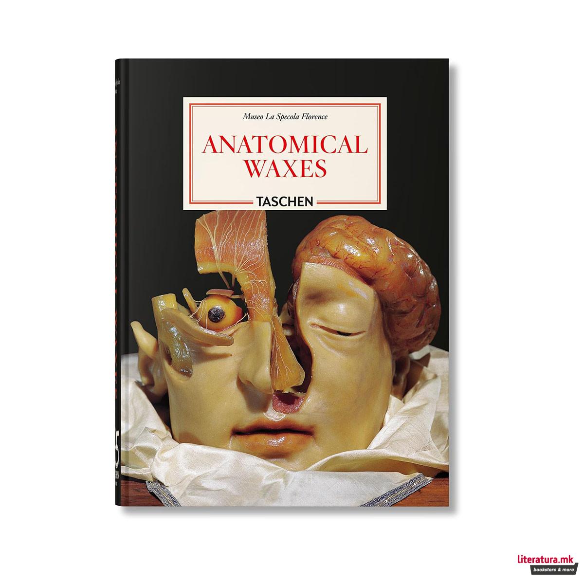 Anatomical Waxes. 45th Ed. (45th Edition) 