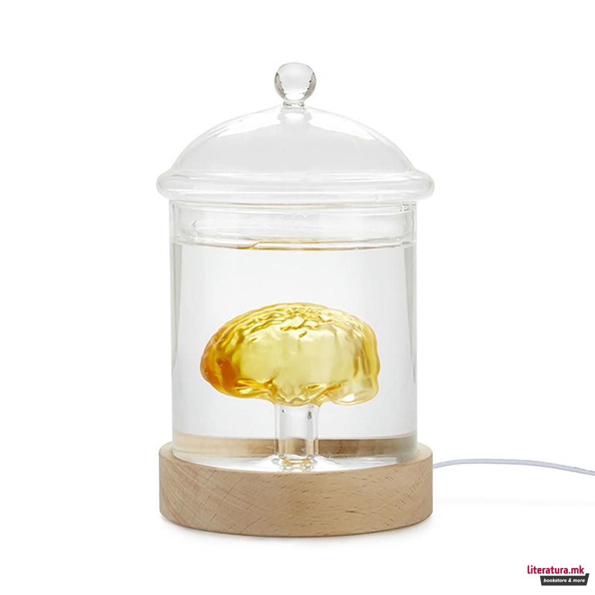 Столна ламба, Brain Glass