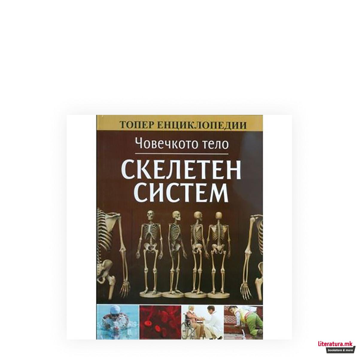 Човечкото тело: Скелетен систем