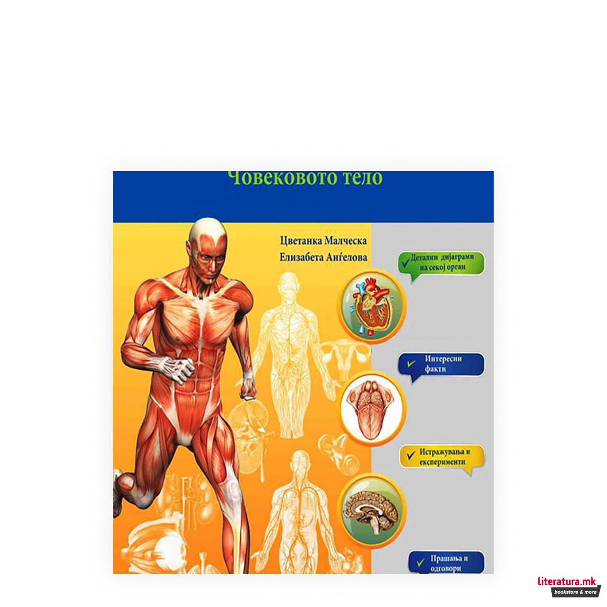 Анатомски атлас - Човековото тело 