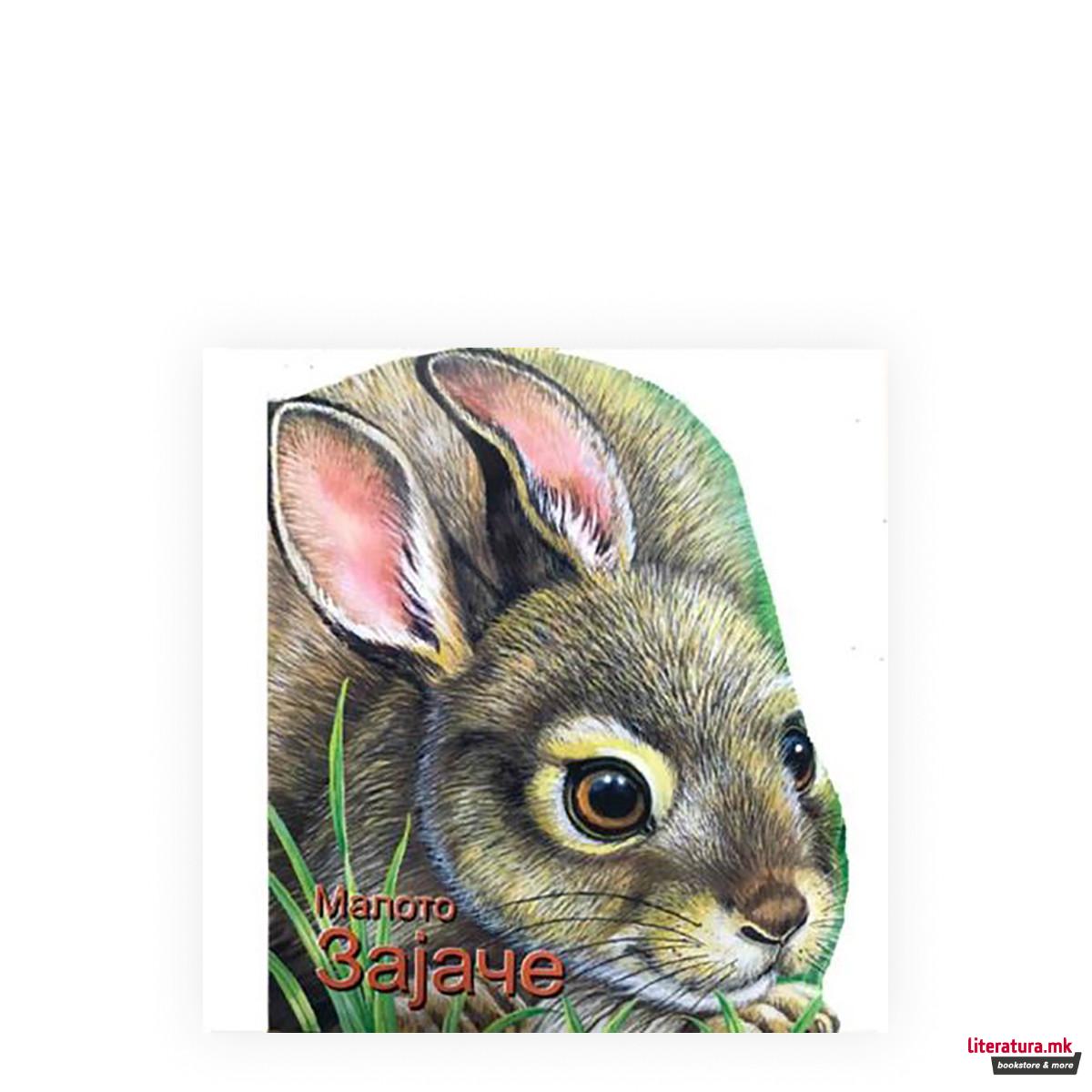 Мали животни 