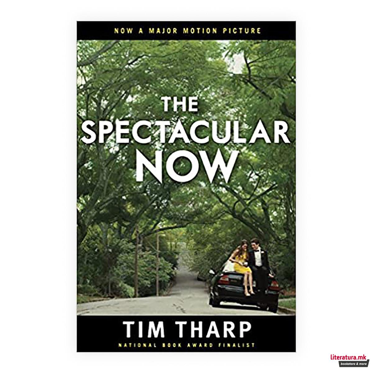 The Spectacular now 