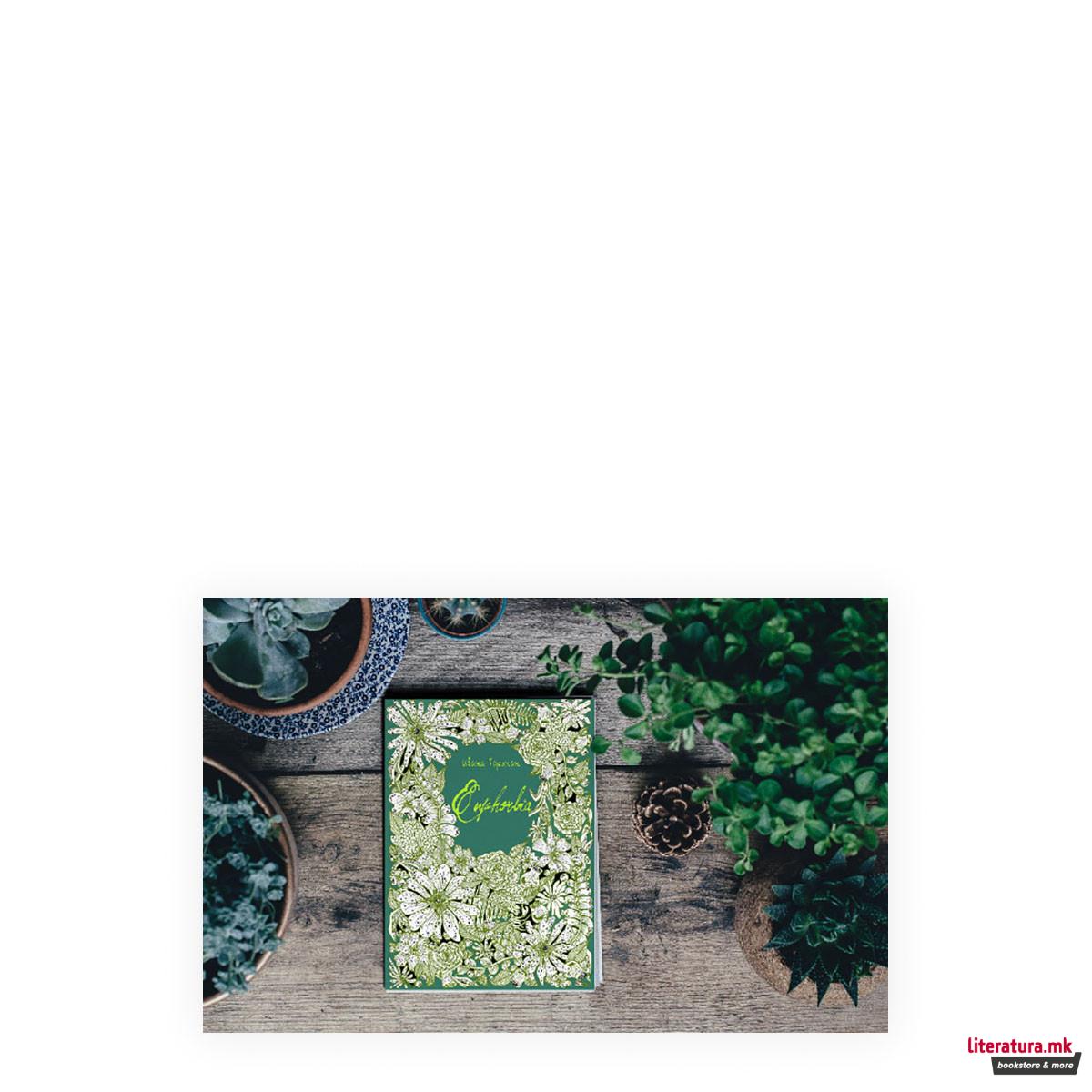 Euphorbia - боенка за возрасни 