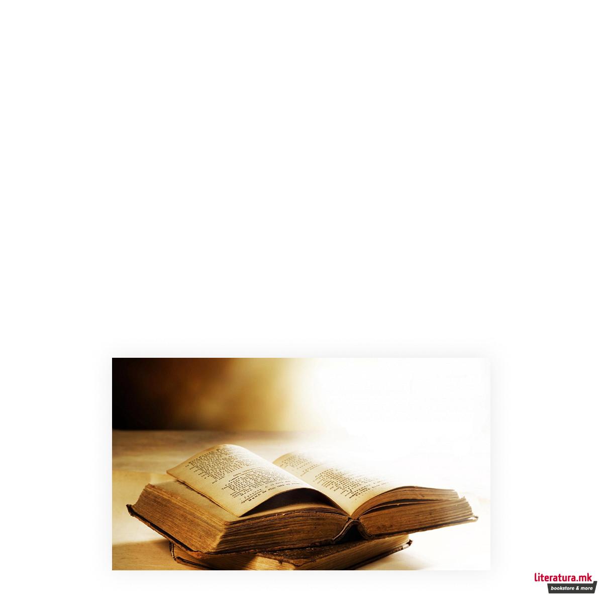 Пајажина од тајни 