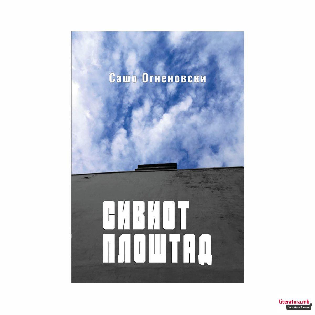 Сивиот плоштад : несистематизиран приказ на едно организирано лудило 
