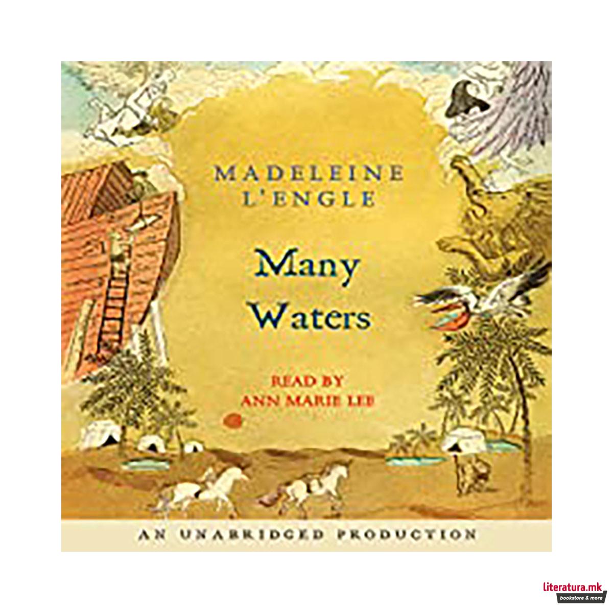 Many Waters (A Wrinkle in Time Quintet) 