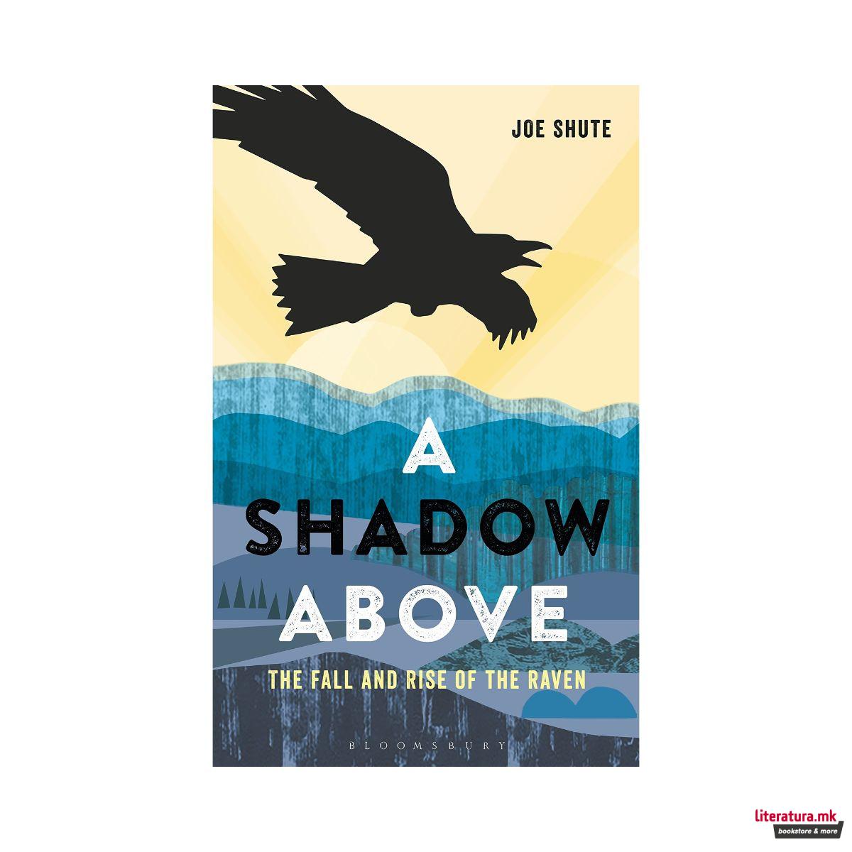 A Shadow Above : The Fall and Rise of the Raven 