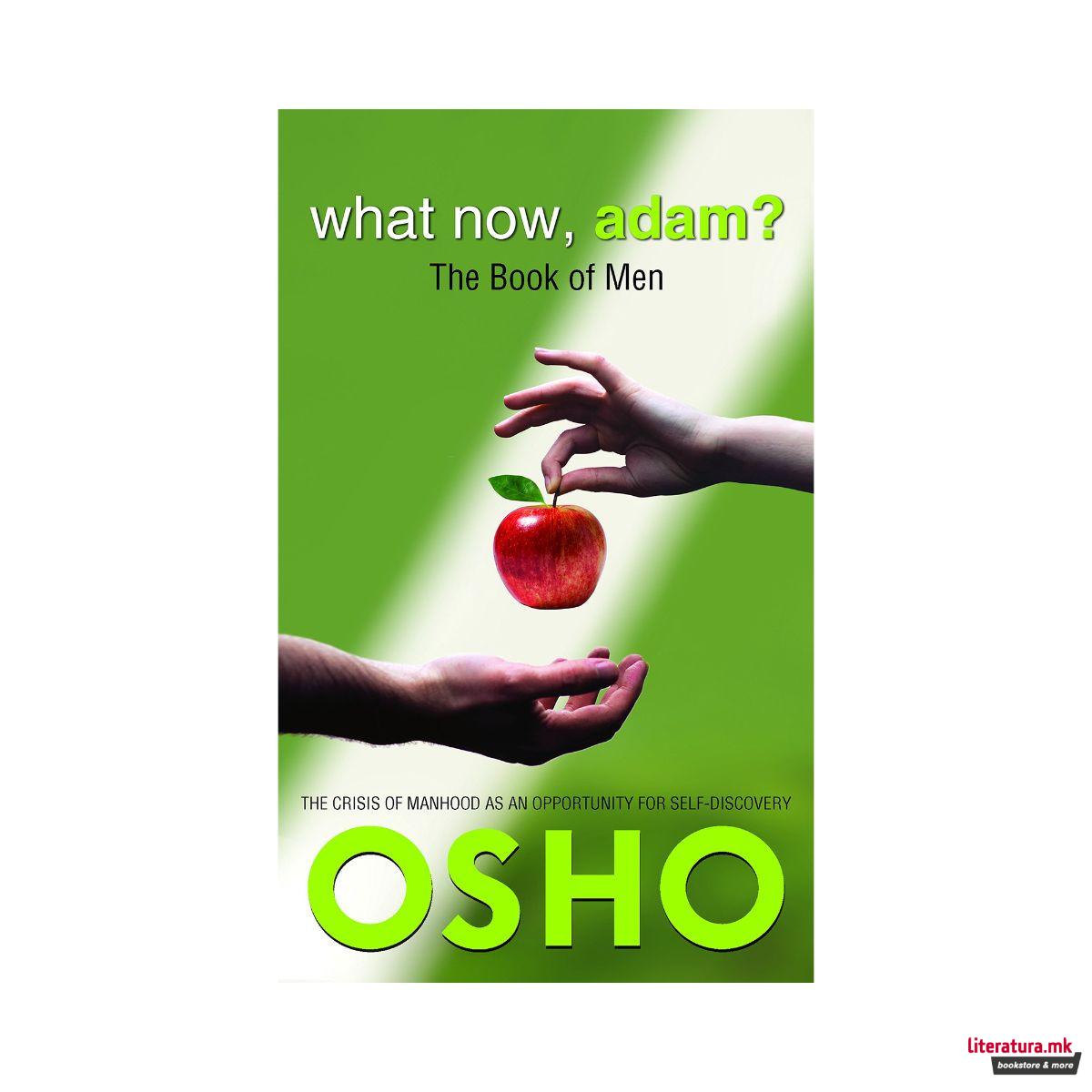 What Now, Adam? : The Book of Men 