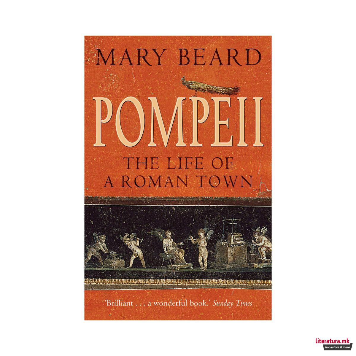 Pompeii : The Life of a Roman Town 