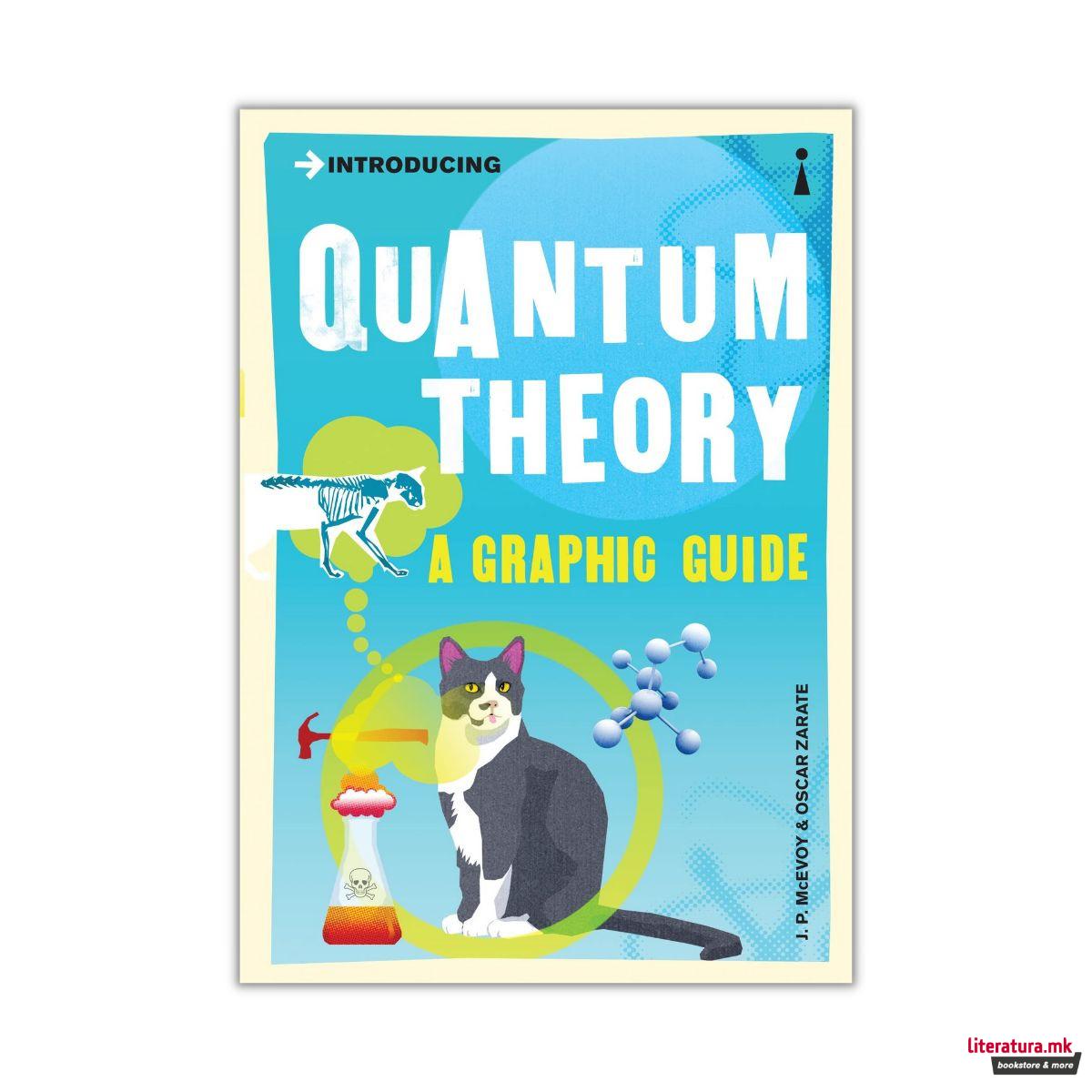 Introducing Quantum Theory : A Graphic Guide 