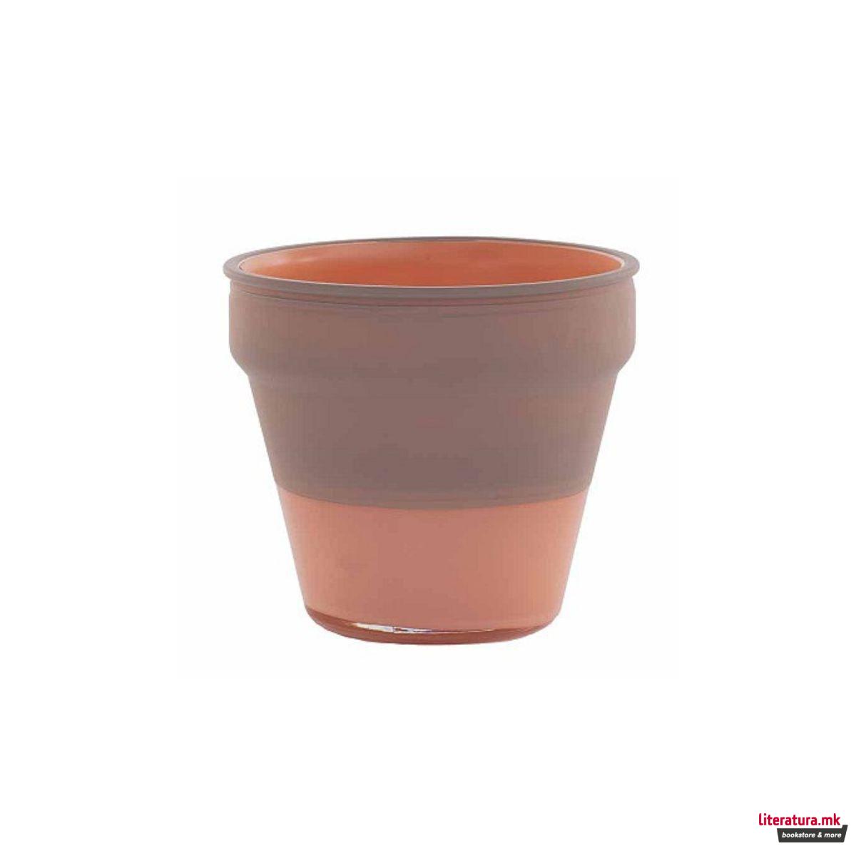 Декоративен стаклен сад, Camelia, Albicocca Caspo 