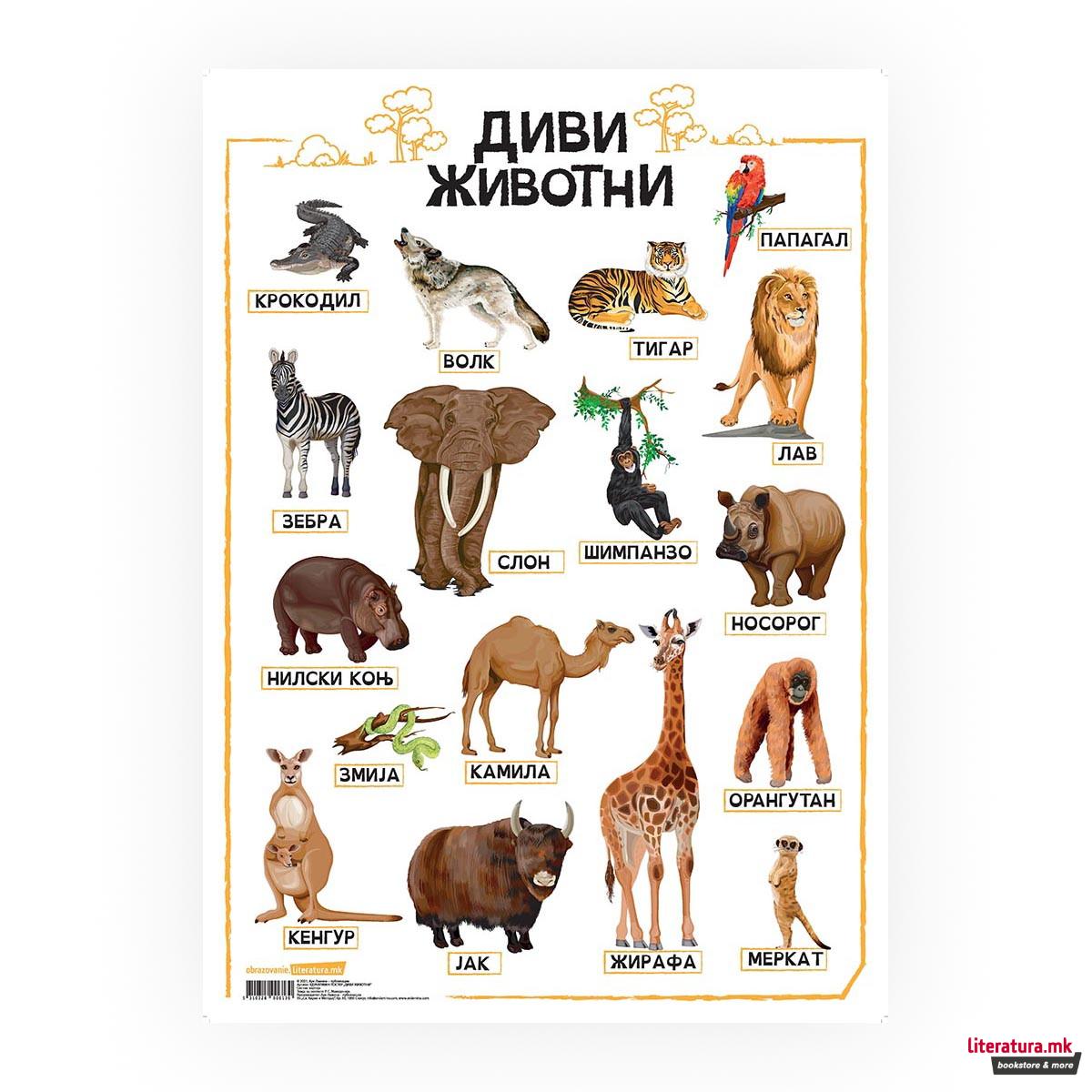 Постер, Диви животни, пластифициран 