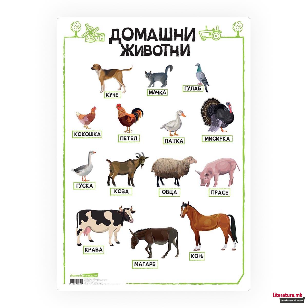 Постер, Домашни животни, пластифициран 