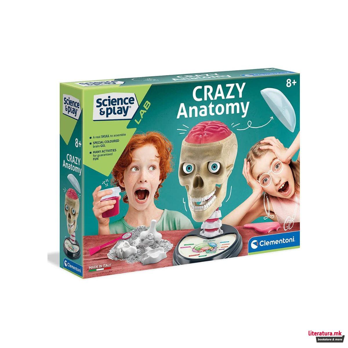 STEM сет, Science & Play, Crazy Anatomy 