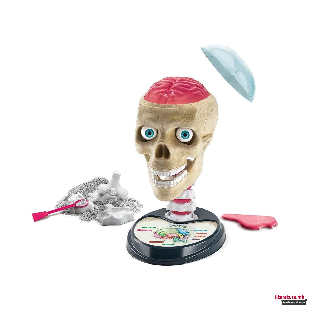 STEM сет, Science & Play, Crazy Anatomy 
