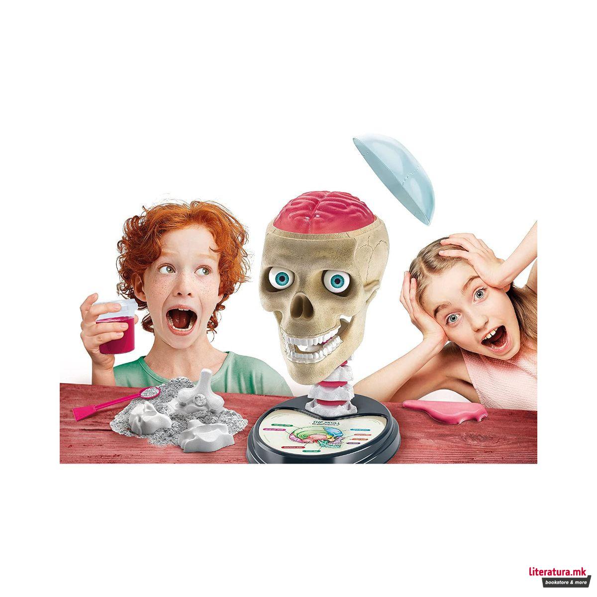 STEM сет, Science & Play, Crazy Anatomy 