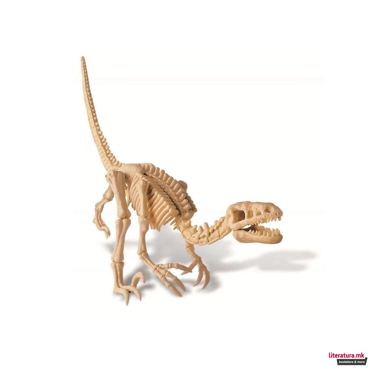 STEM сет, Kidz Labs, Dig a Dinosaur Skeleton - Velociraptor 