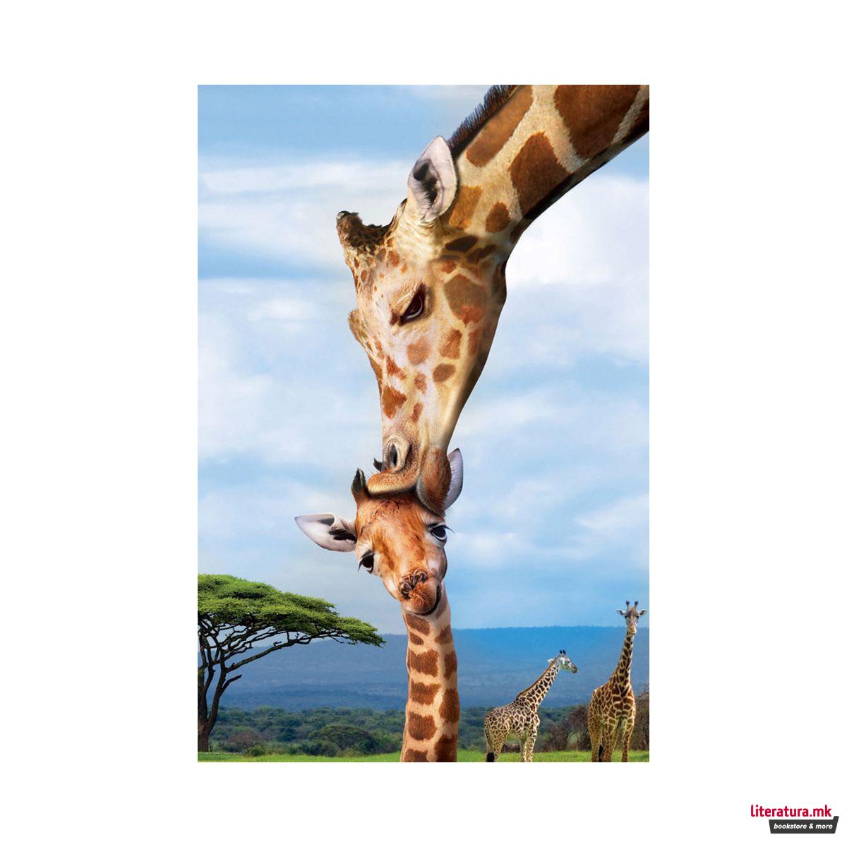 Сложувалка, Giraffes, 250 парчиња 