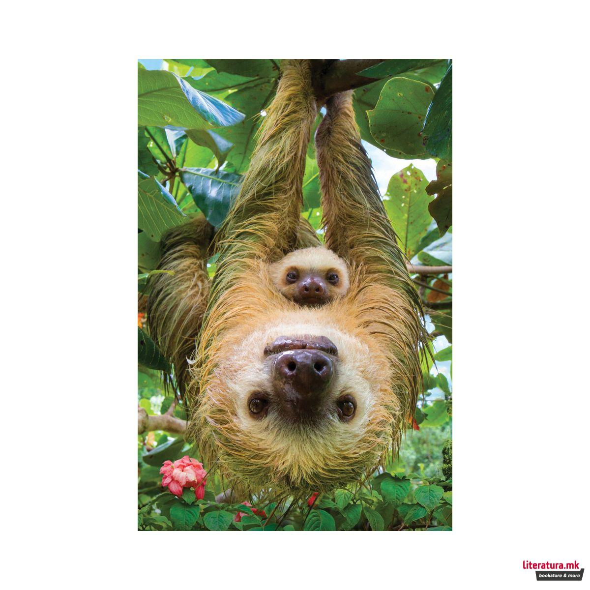 Сложувалка, Sloths, 250 парчиња 