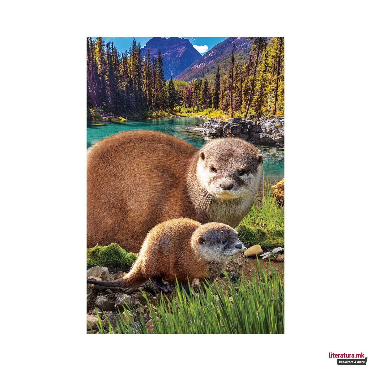 Сложувалка, Otters, 250 парчиња