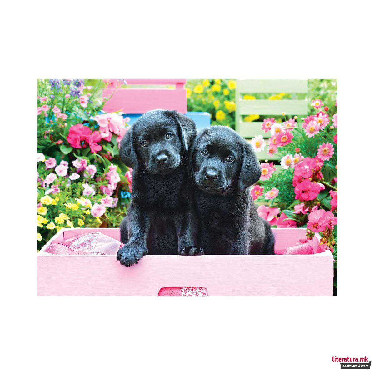 Сложувалка, Black Labs in Pink Box, 500 парчиња 