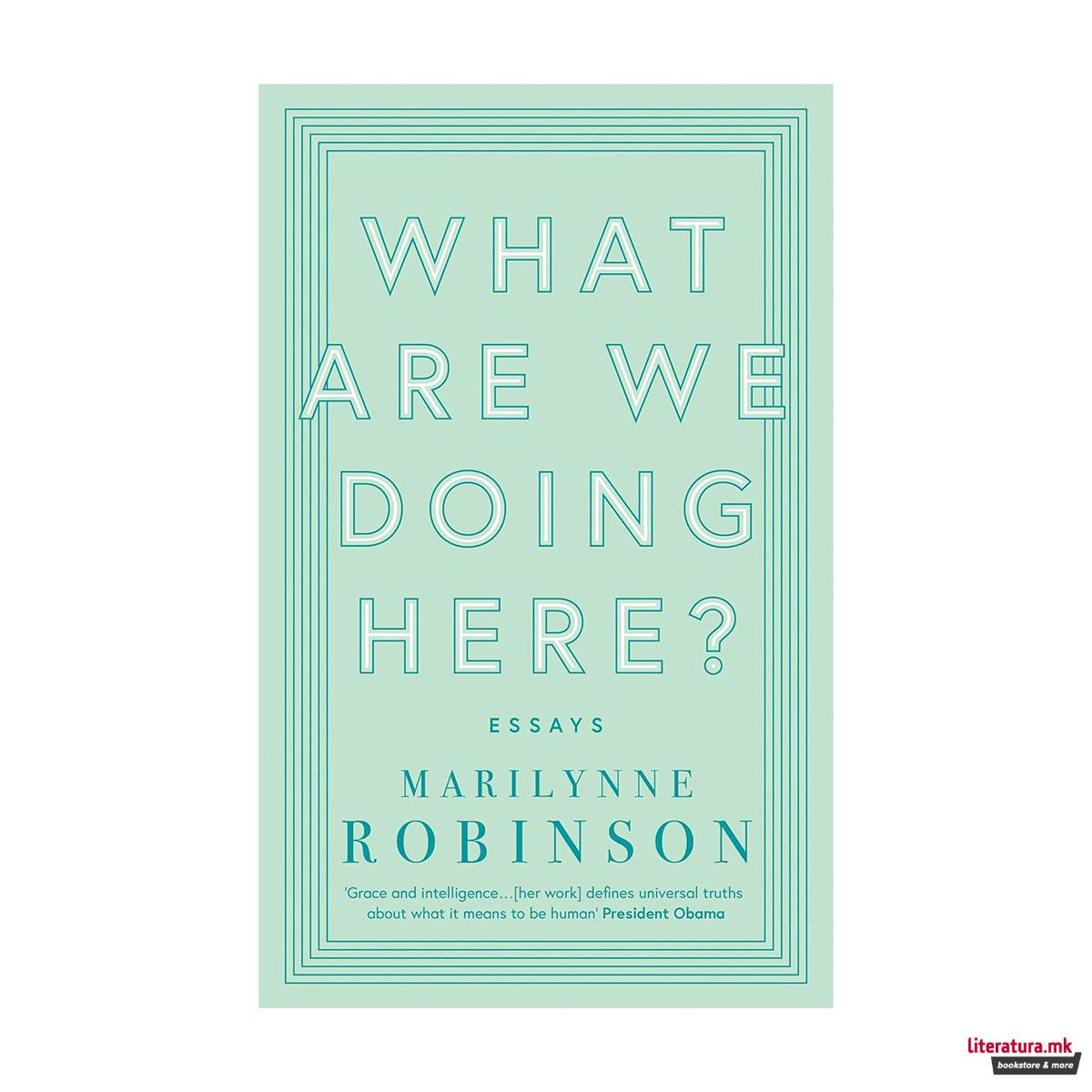 What are We Doing Here 