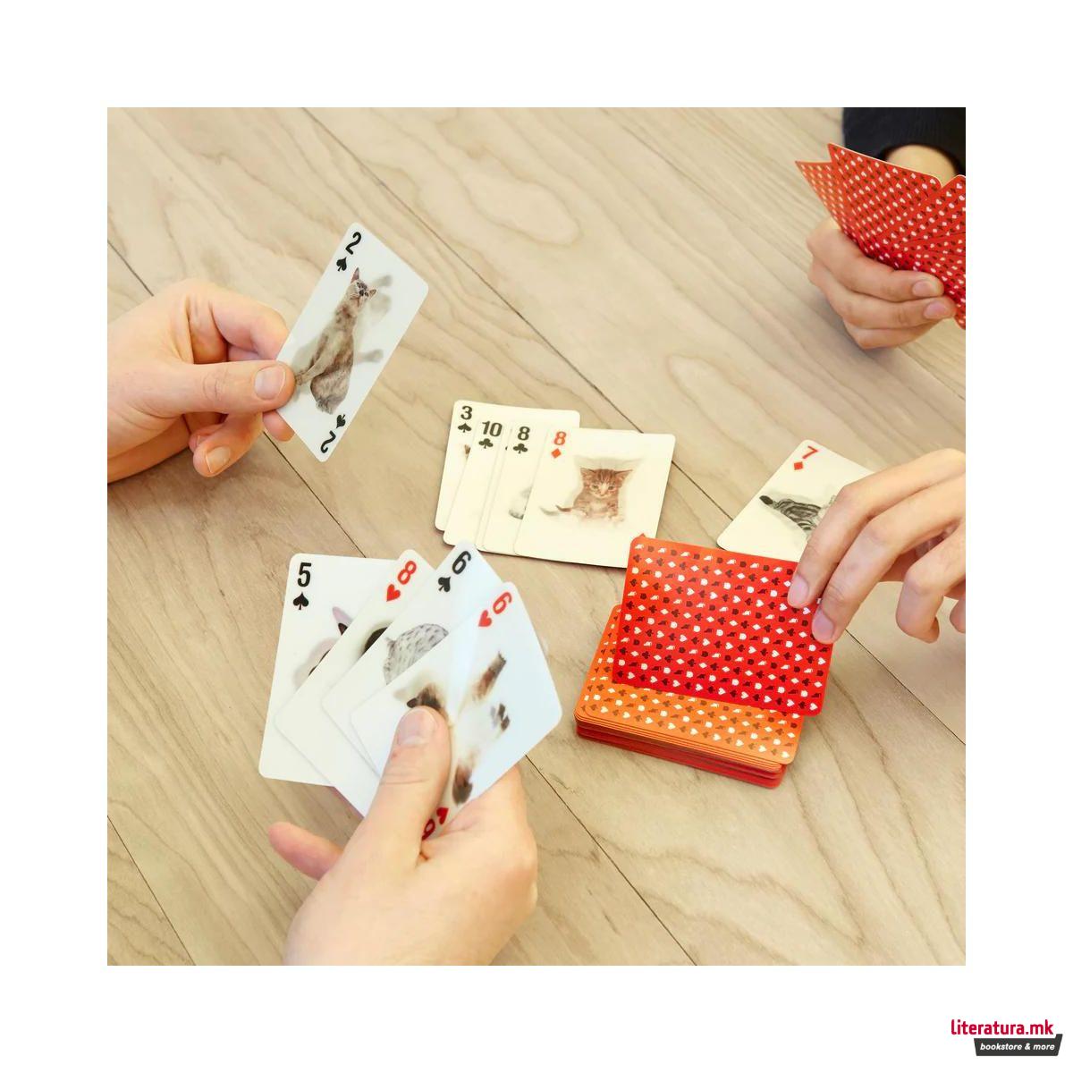 Карти за играње, Cats 3D 