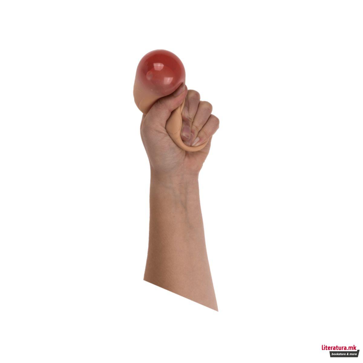 Анти-стрес фигура, Testicle 