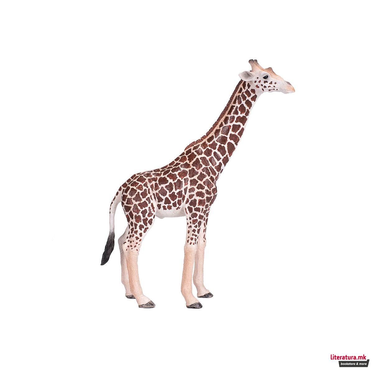 Фигура - Жирафа мажјак 