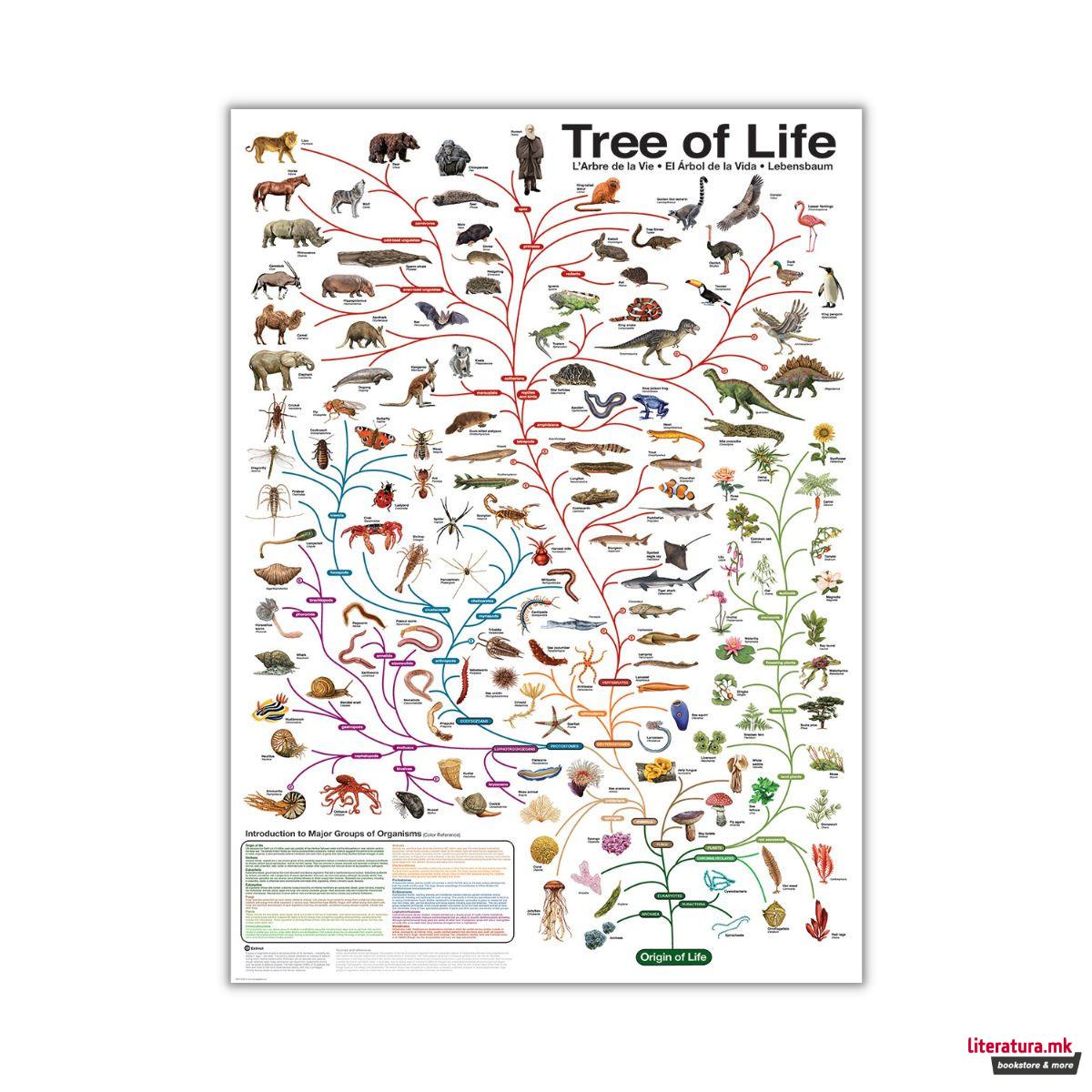 Сложувалка, The Tree of Life, 1000 парчиња 