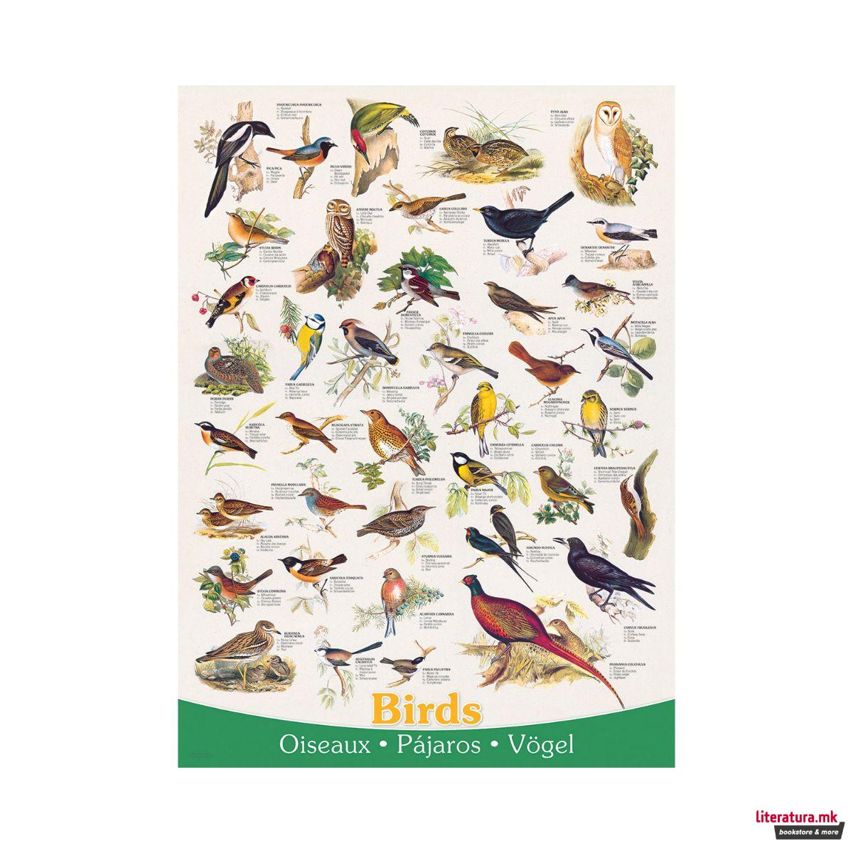 Сложувалка, Birds, 1000 парчиња 