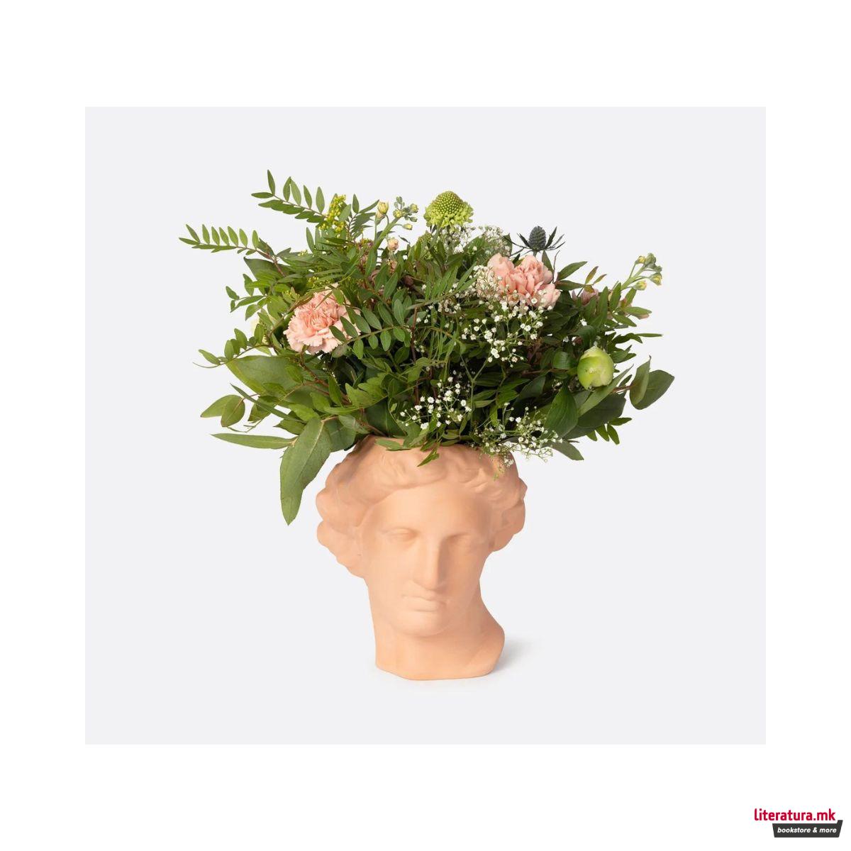 Вазна, Apollo Terracotta 