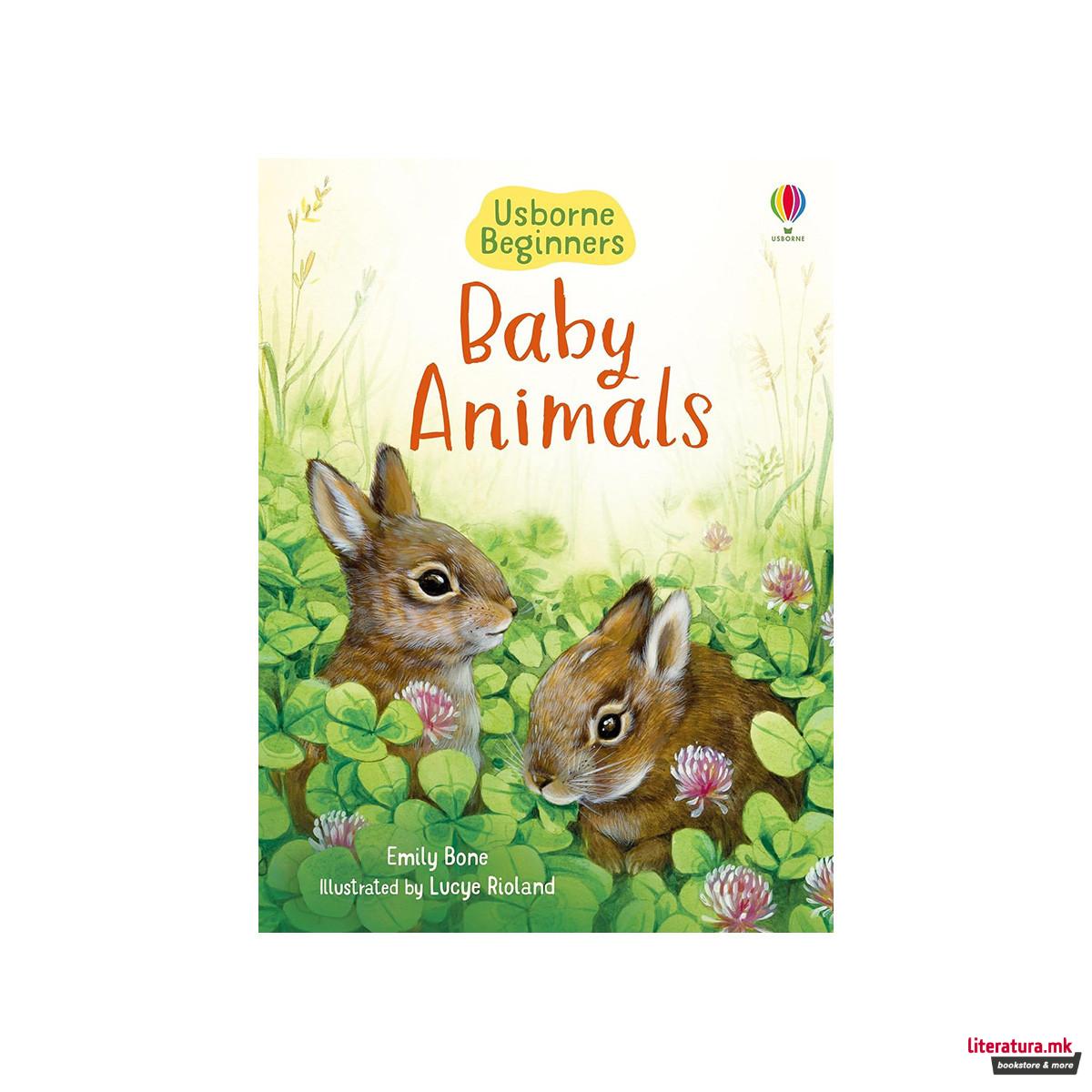 Baby Animals (Usborne Beginners)