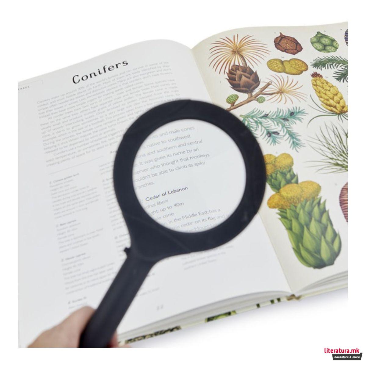 Лупа со LED ламба, Zoom 