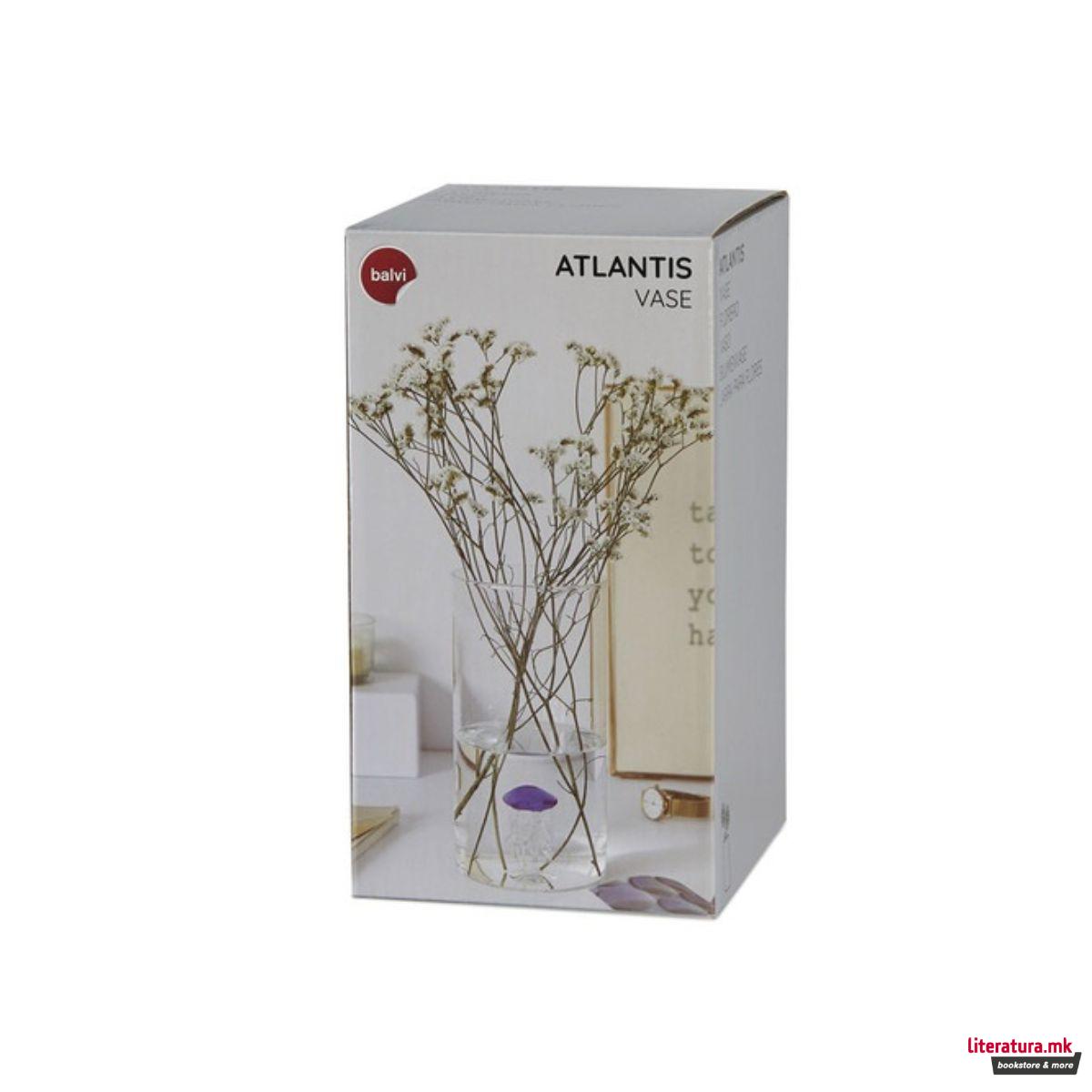 Вазна, Atlantis Medusa, сина