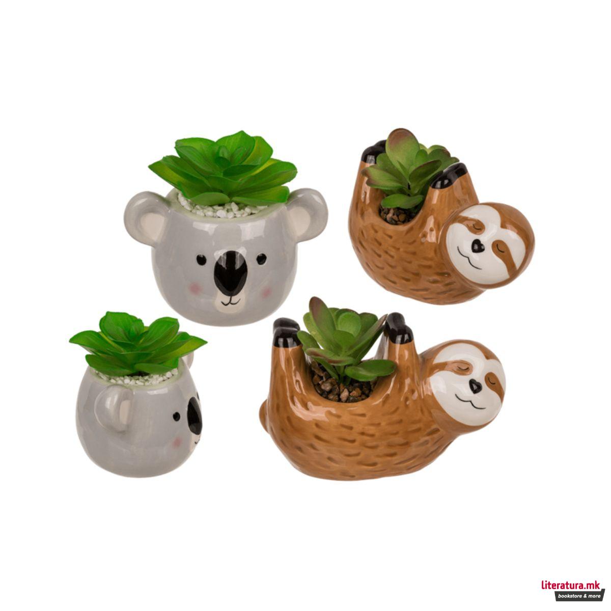 Декоративни сукуленти во керамичка саксија, 2 дизајни 