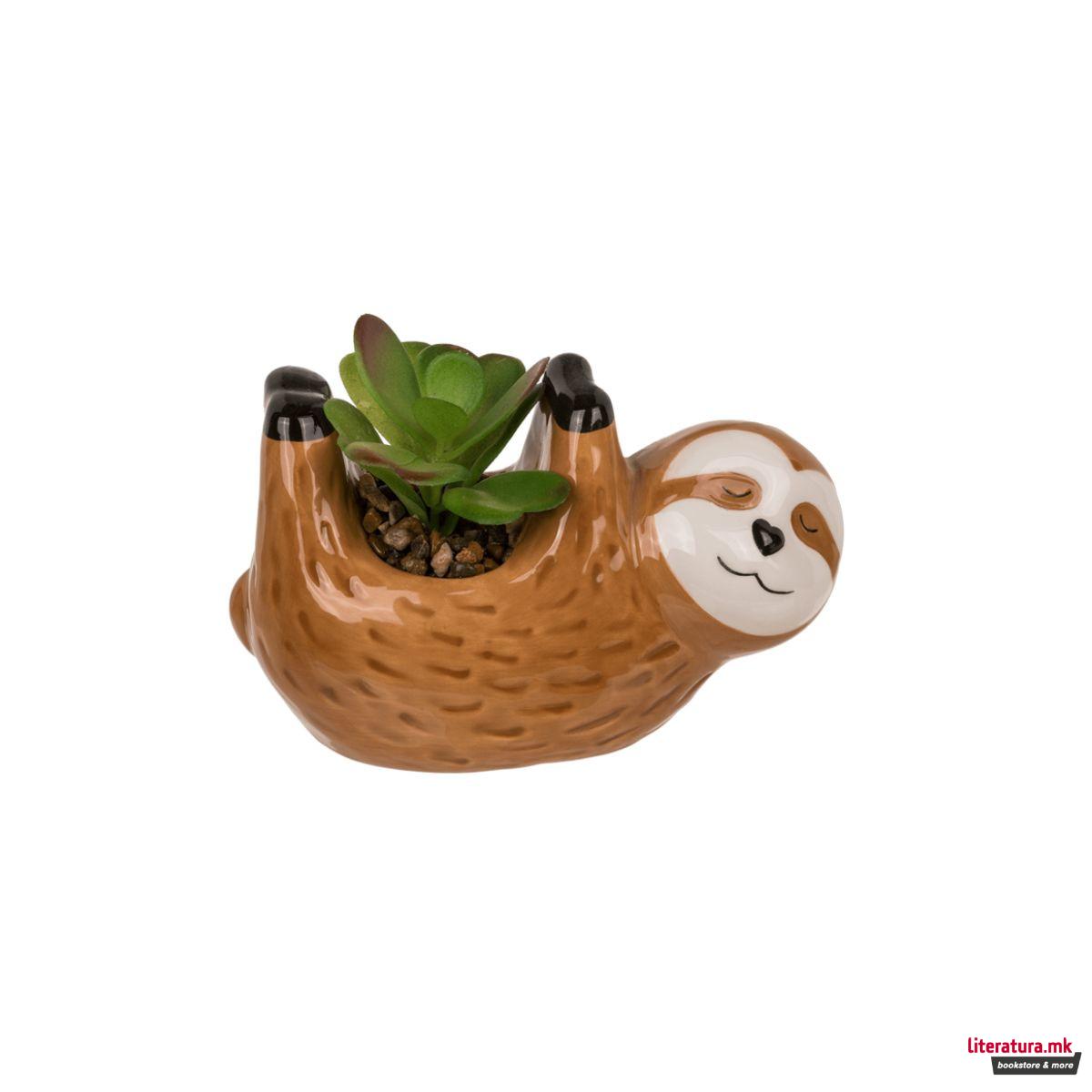 Декоративни сукуленти во керамичка саксија, 2 дизајни 