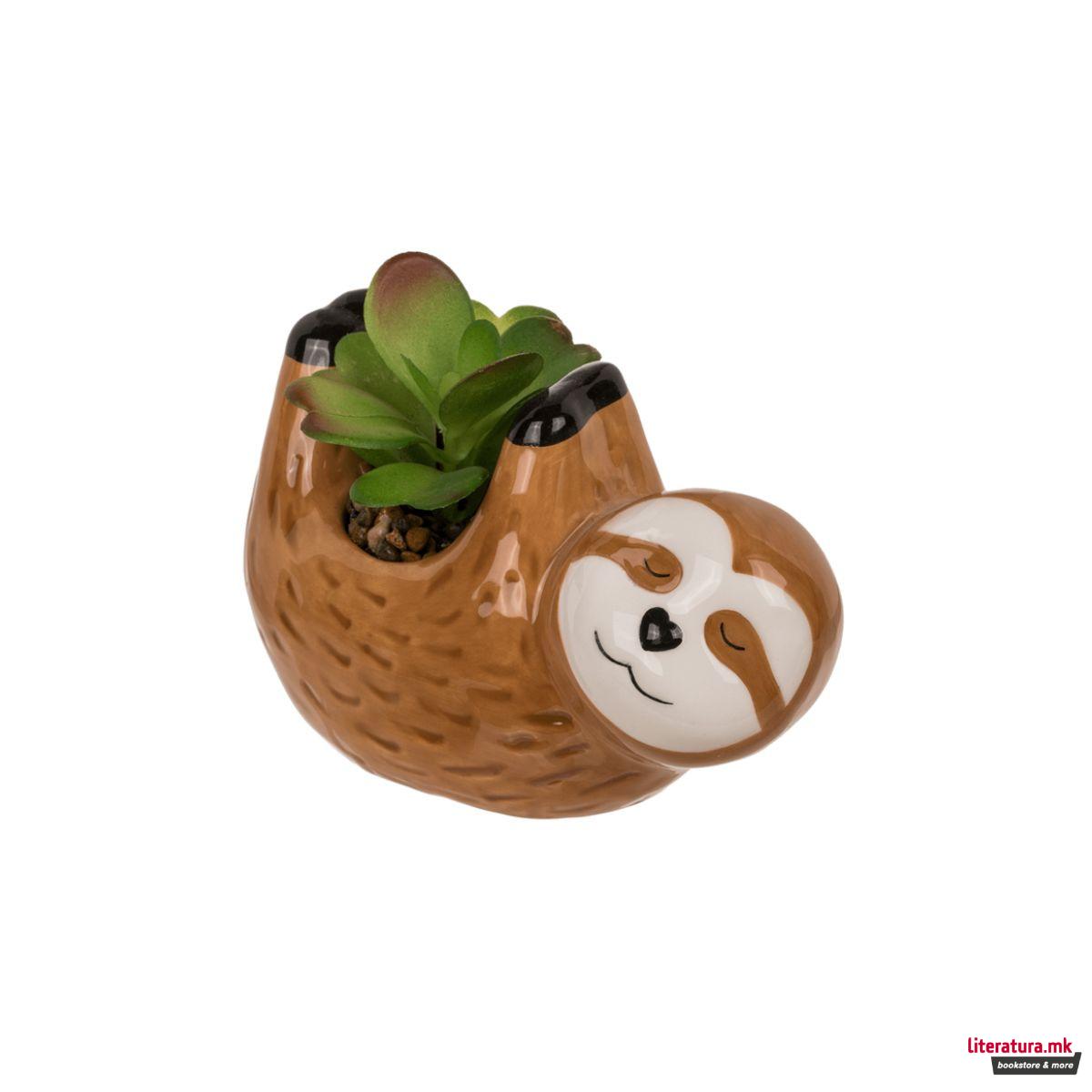 Декоративни сукуленти во керамичка саксија, 2 дизајни 