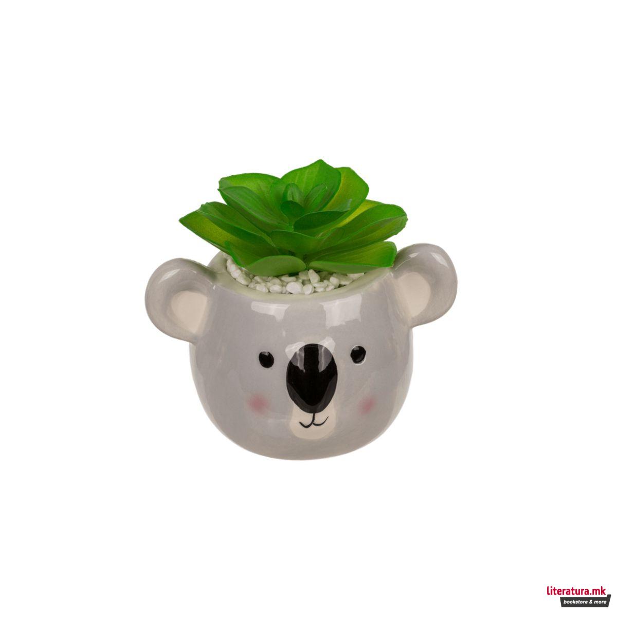 Декоративни сукуленти во керамичка саксија, 2 дизајни 