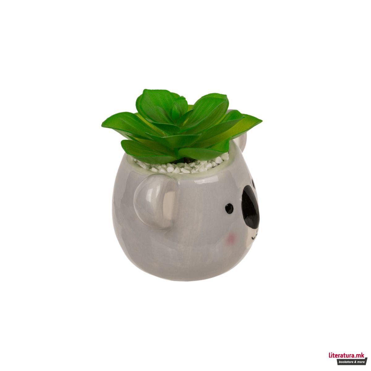 Декоративни сукуленти во керамичка саксија, 2 дизајни 