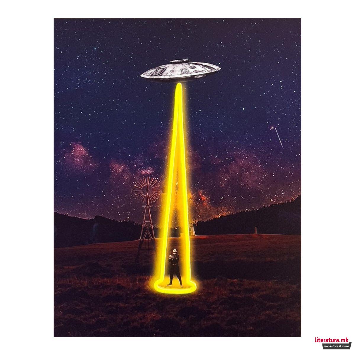 Ѕиден неонски знак/слика, 