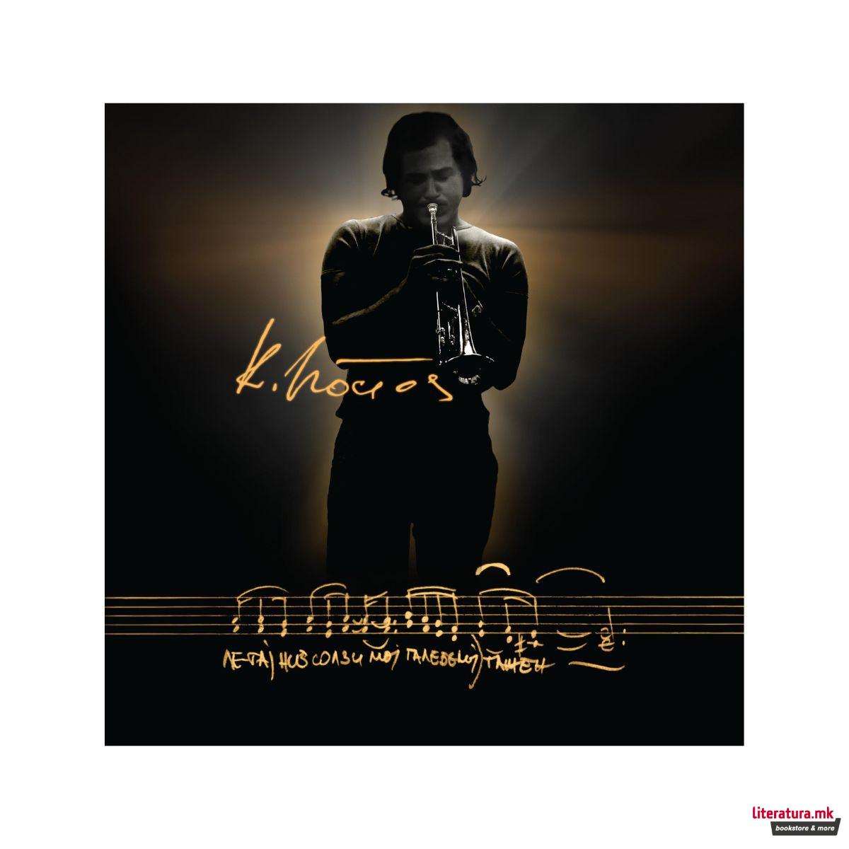 Кире Костов: Летај низ солзи мој, галебе мој тажен 