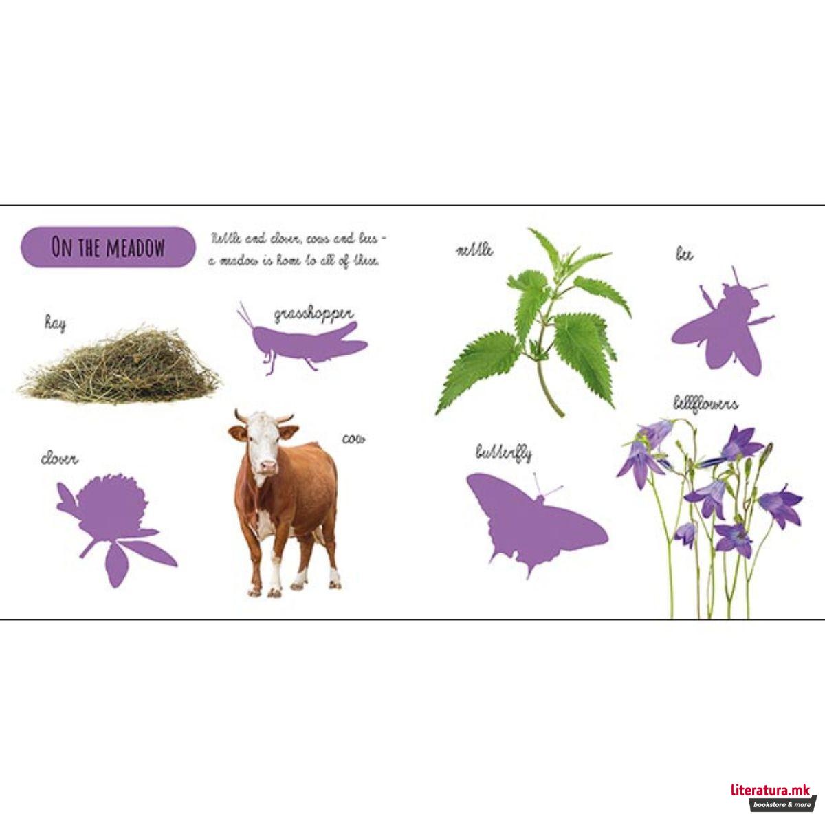 Сликовница со стикери - Outdoors 