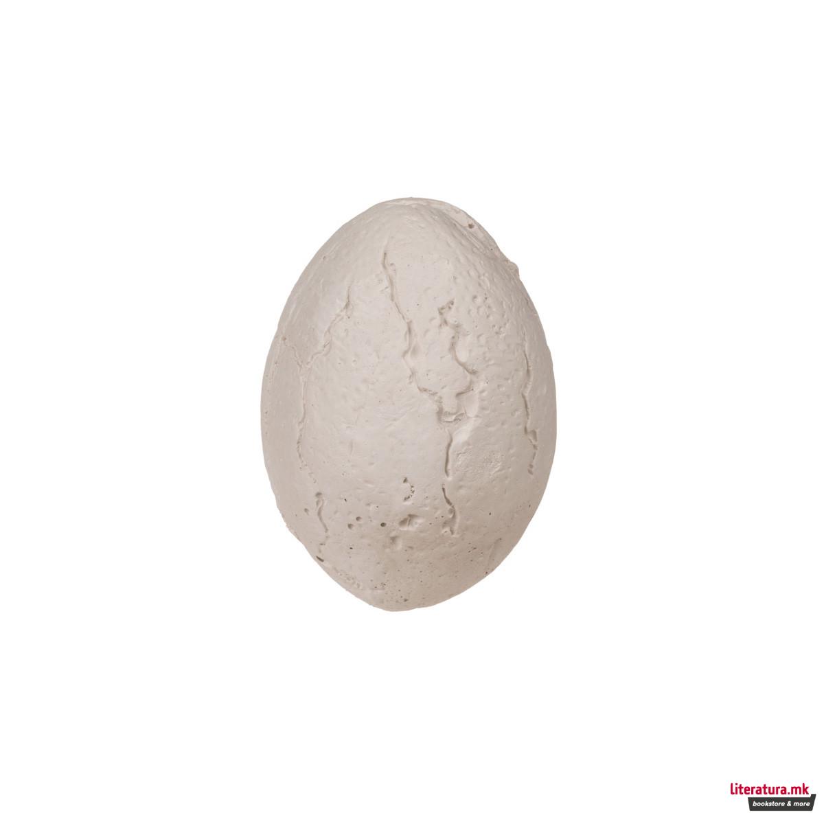 Сет за ископување - Диносаурус 