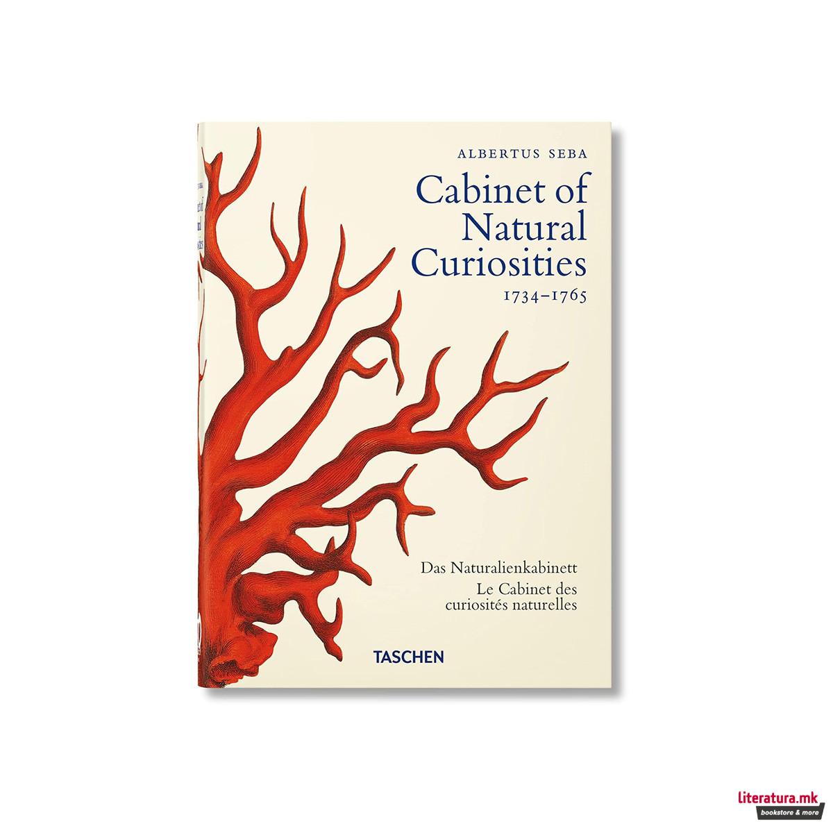 Cabinet of Natural Curiosities 