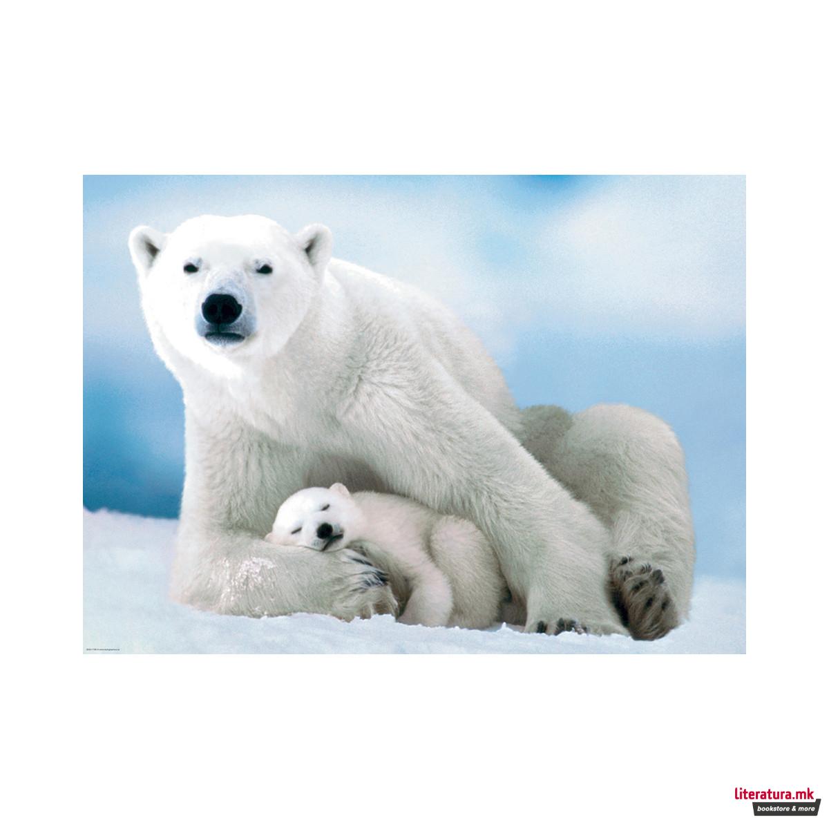 Сложувалка, Polar Bear and Baby, 1000 парчиња 