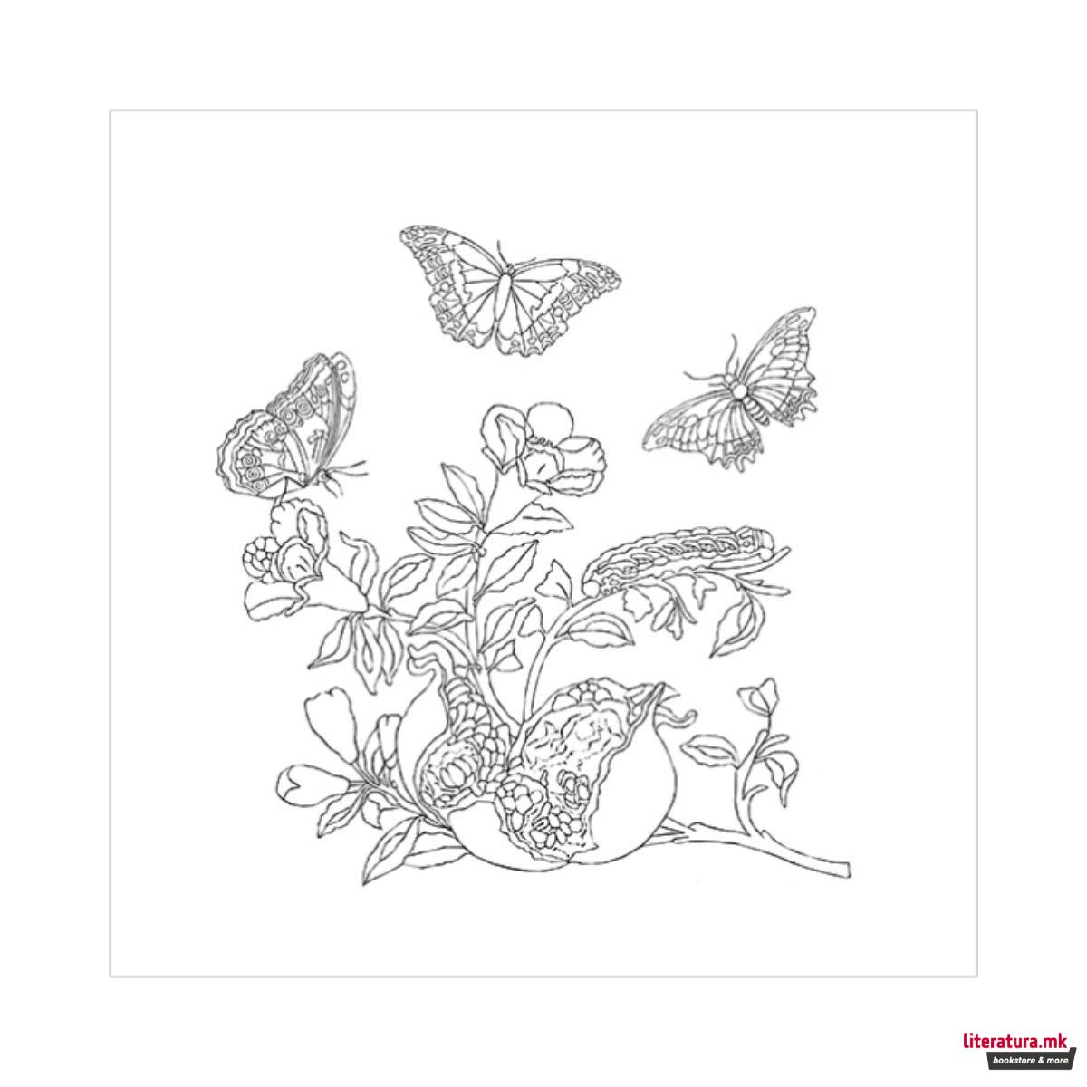 Креативен сет, Maria Sibylla Merian - 4 мотиви 