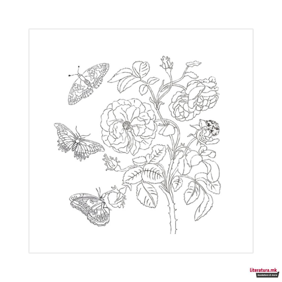 Креативен сет, Maria Sibylla Merian - 4 мотиви 