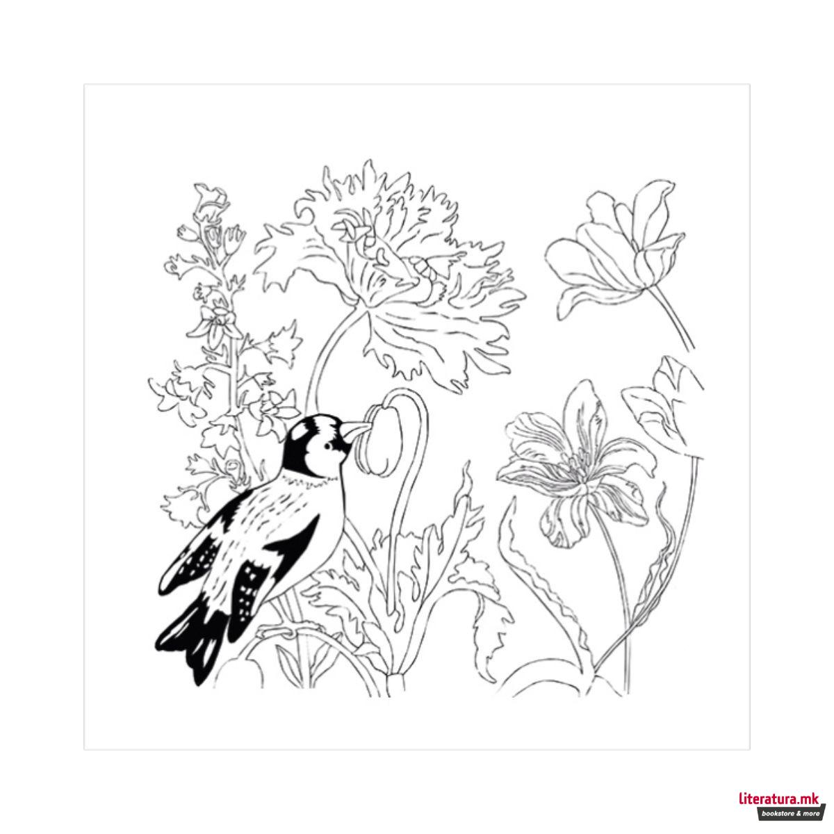 Креативен сет, Maria Sibylla Merian - 4 мотиви 